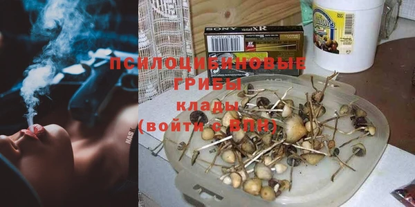 стафф Волосово