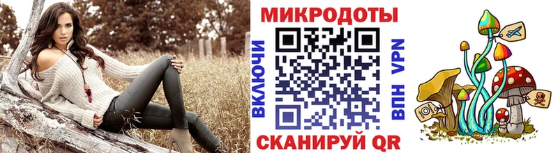 продажа наркотиков Данков Галлюциногенные грибы GOLDEN TEACHER